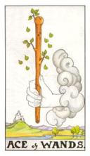 Have you been curious when I write about Tarot Master?